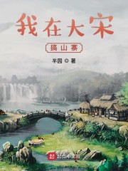 我在大宋搞山寨