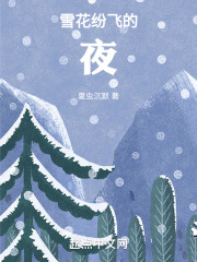 雪花纷飞的夜